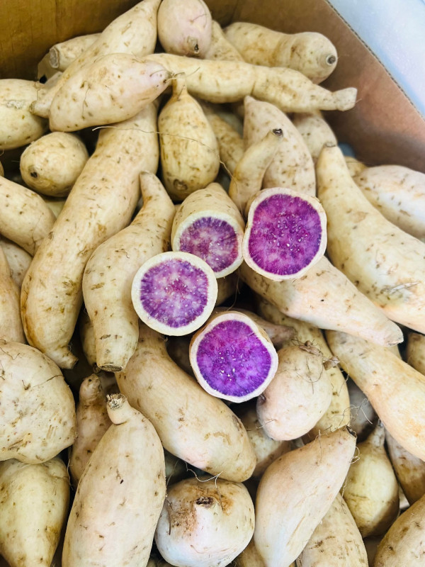 Khoai Lang Tím 6$