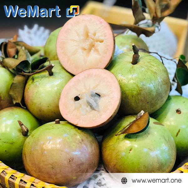 Nội Thất Liên Mỹ demo sample