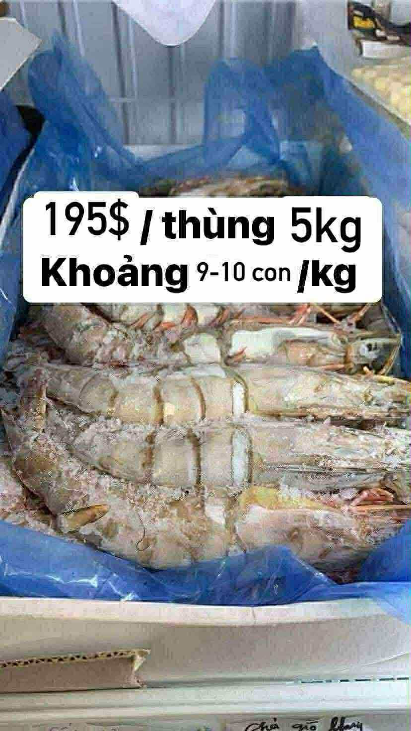 Tôm tiger U6 5Kg 195$