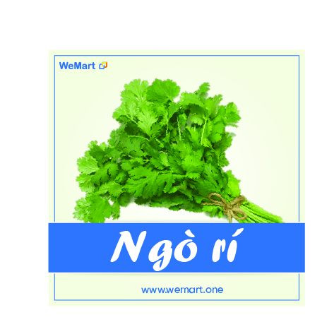 thịt nghêu lụa