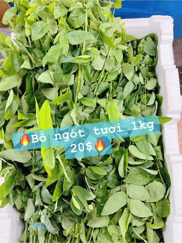 Tương xào ăn liền