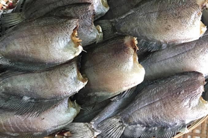 Cá sặc bổi