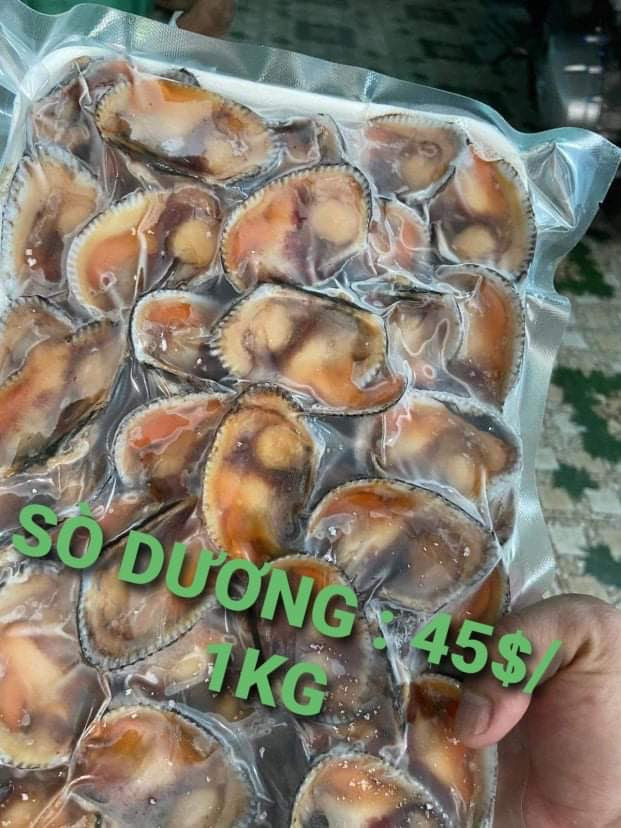 Quạt hút phòng tắm Panasonic FY-24C8