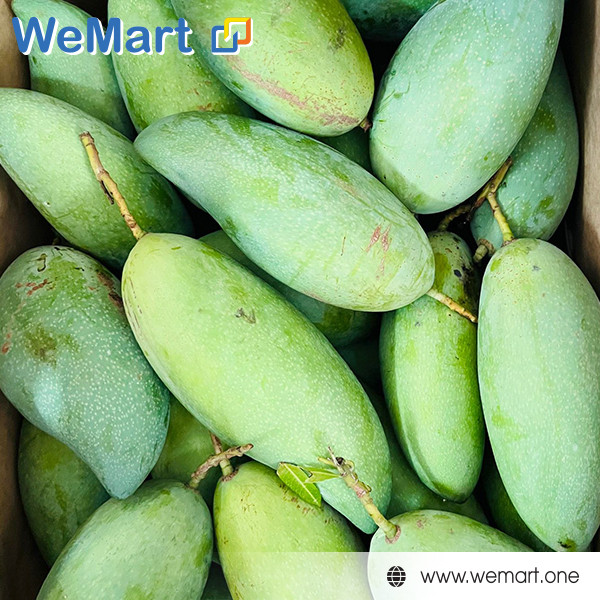 Lá Giang Tươi