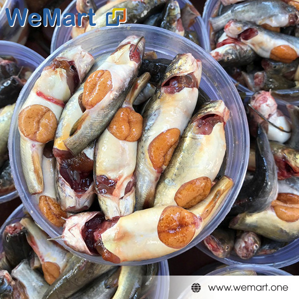 Cá chốt