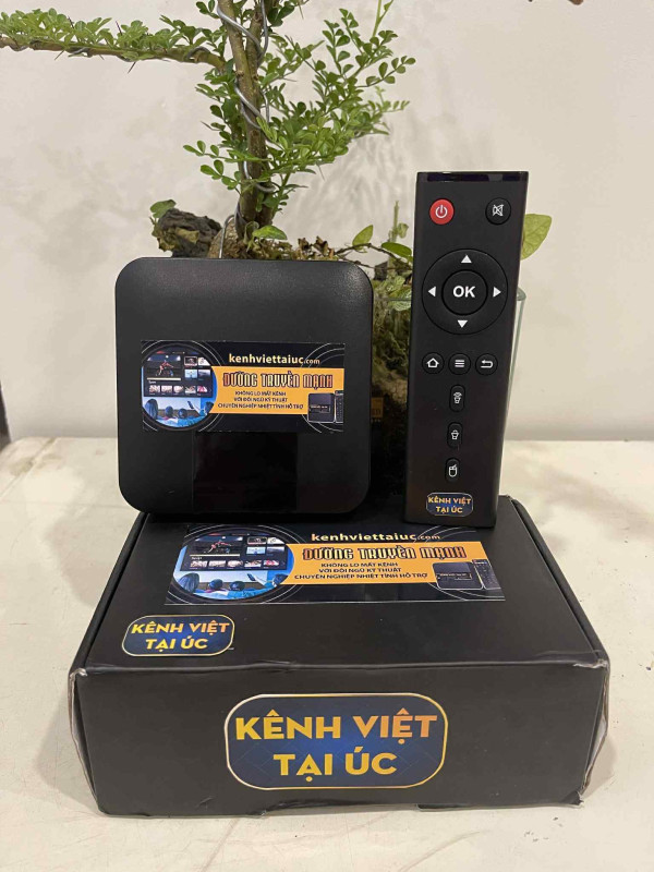 Kênh xem ti vi Việt