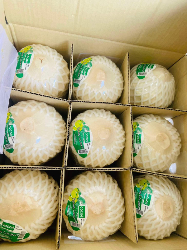 Hạt dẻ bự 50$