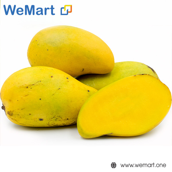 Nấm rơm búp sấy khô 100g