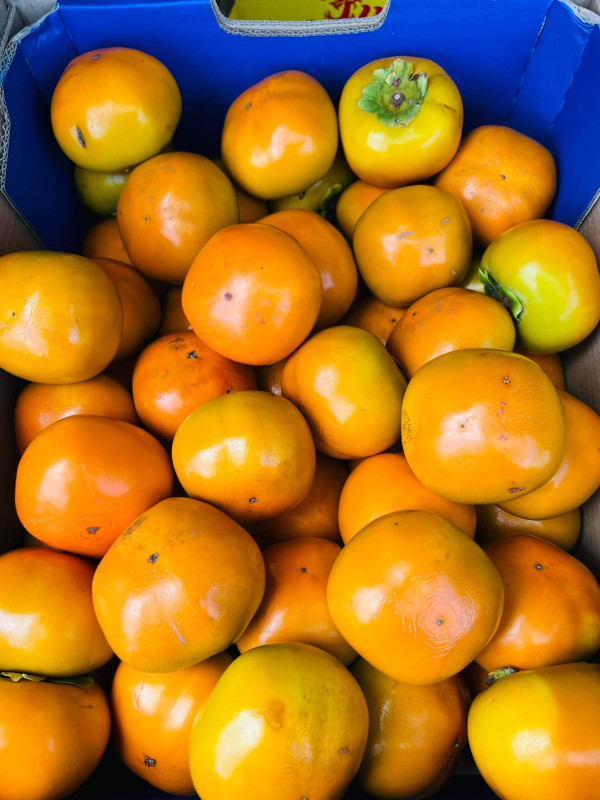 Snack bắp 4