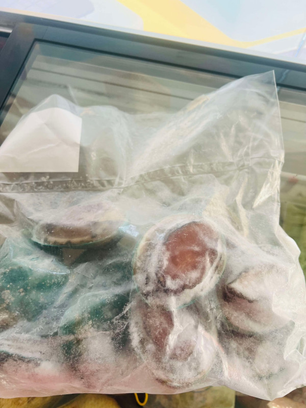 Bào ngư đông đá lớn